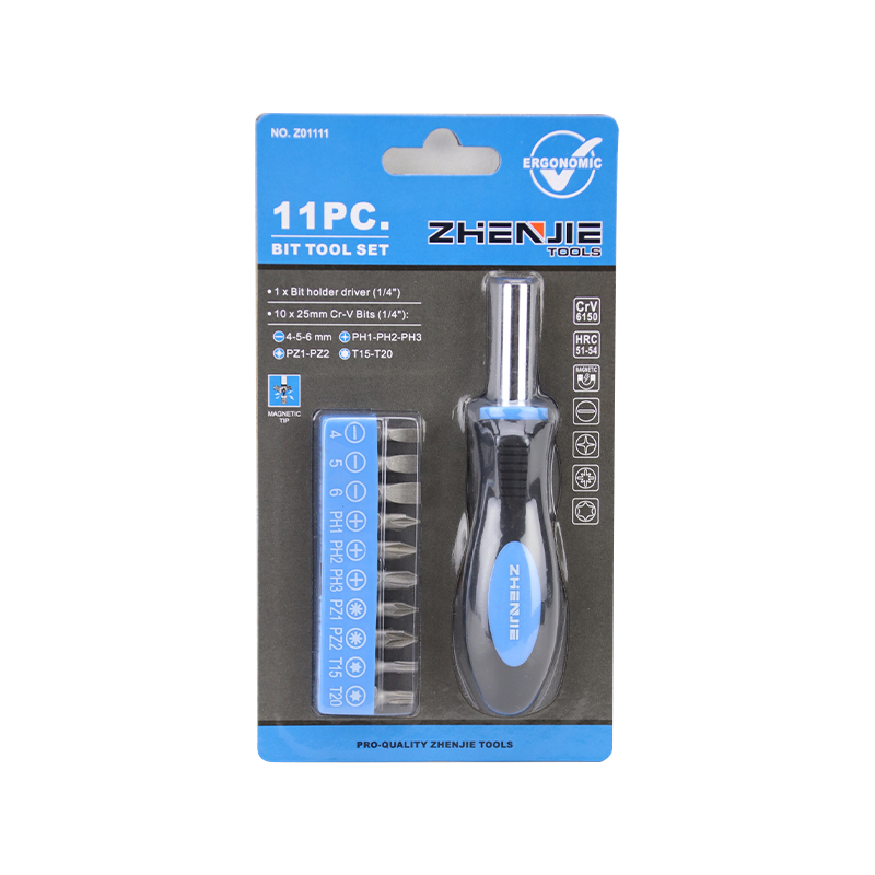 11-delige Phillips Pozidriv Torx-ratelbitset