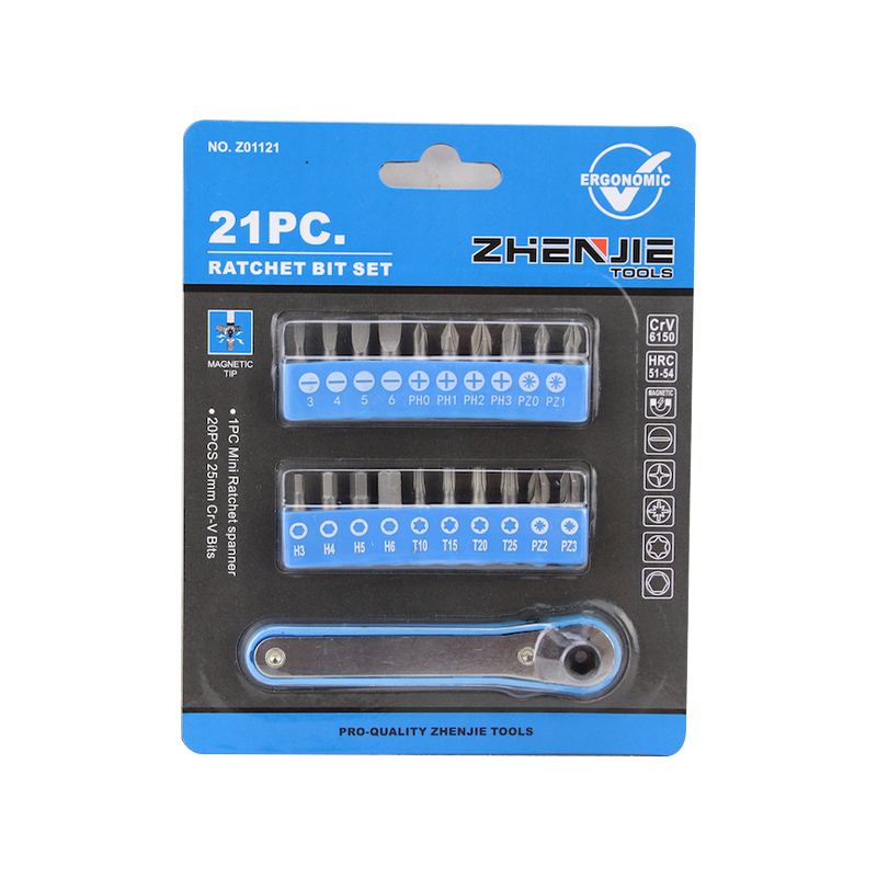 21-delige Phillips Pozidriv Hex Torx-ratelbitset