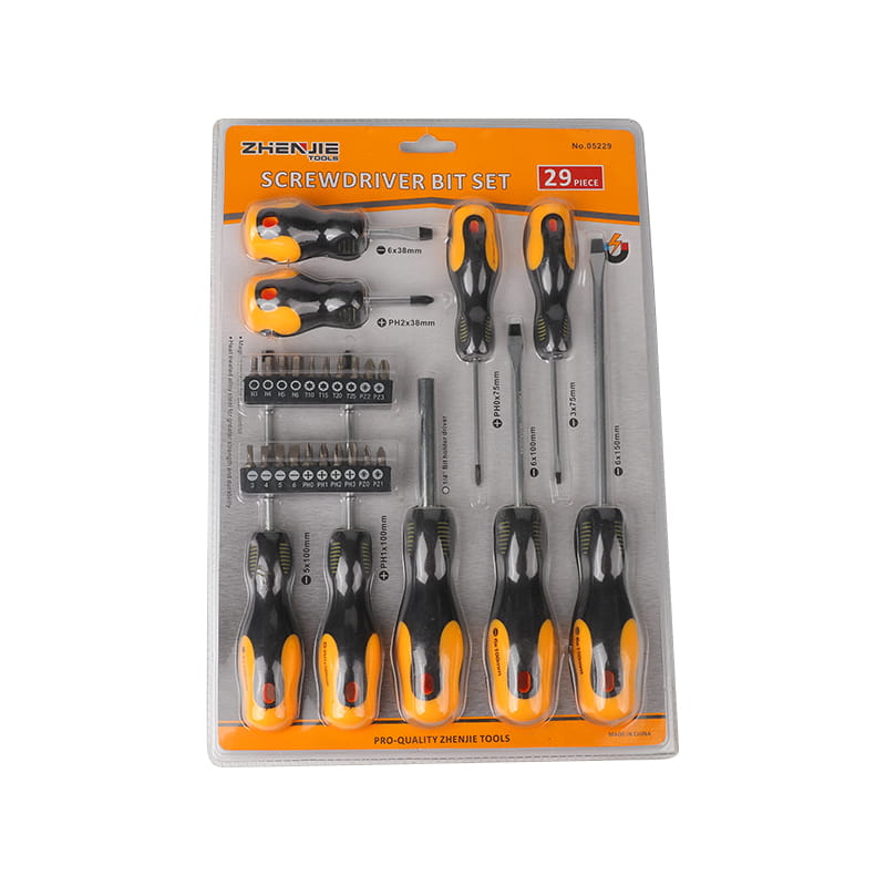 29-delige Phillips Pozidriv Hex Torx CRV-schroevendraaierbitset