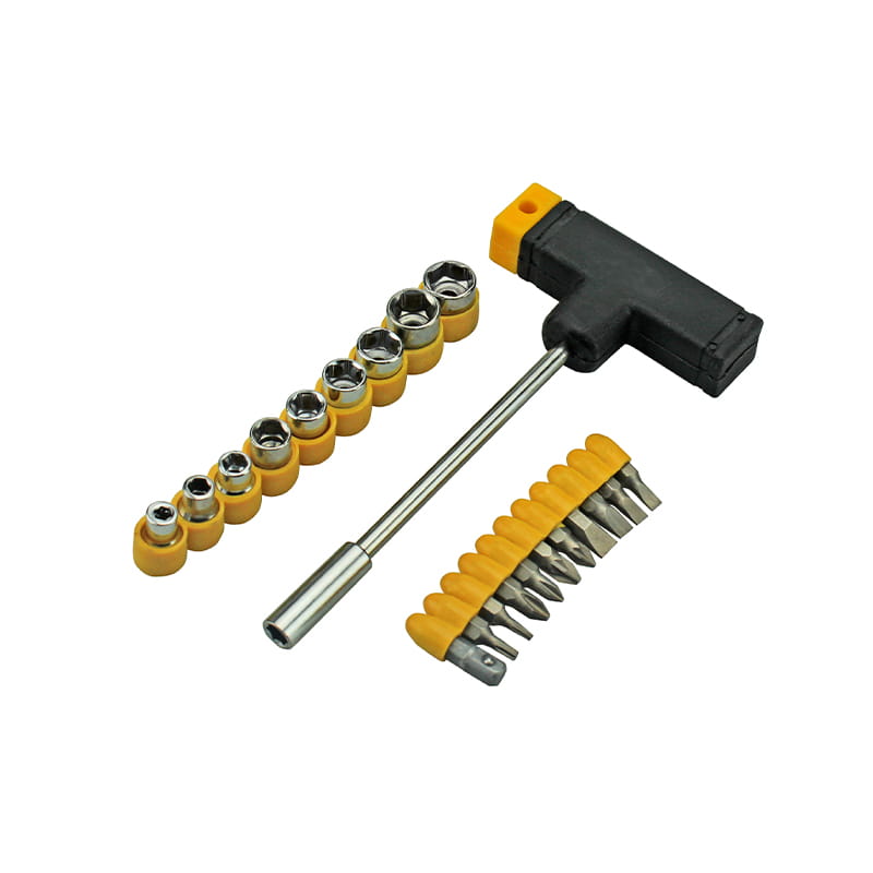 21-delige Phillips Torx Pozidriv-dop- en bitset